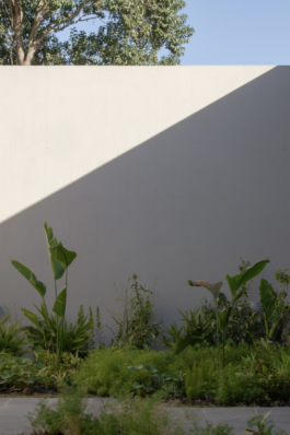 JUGO™ Creative Studio & Management Agency